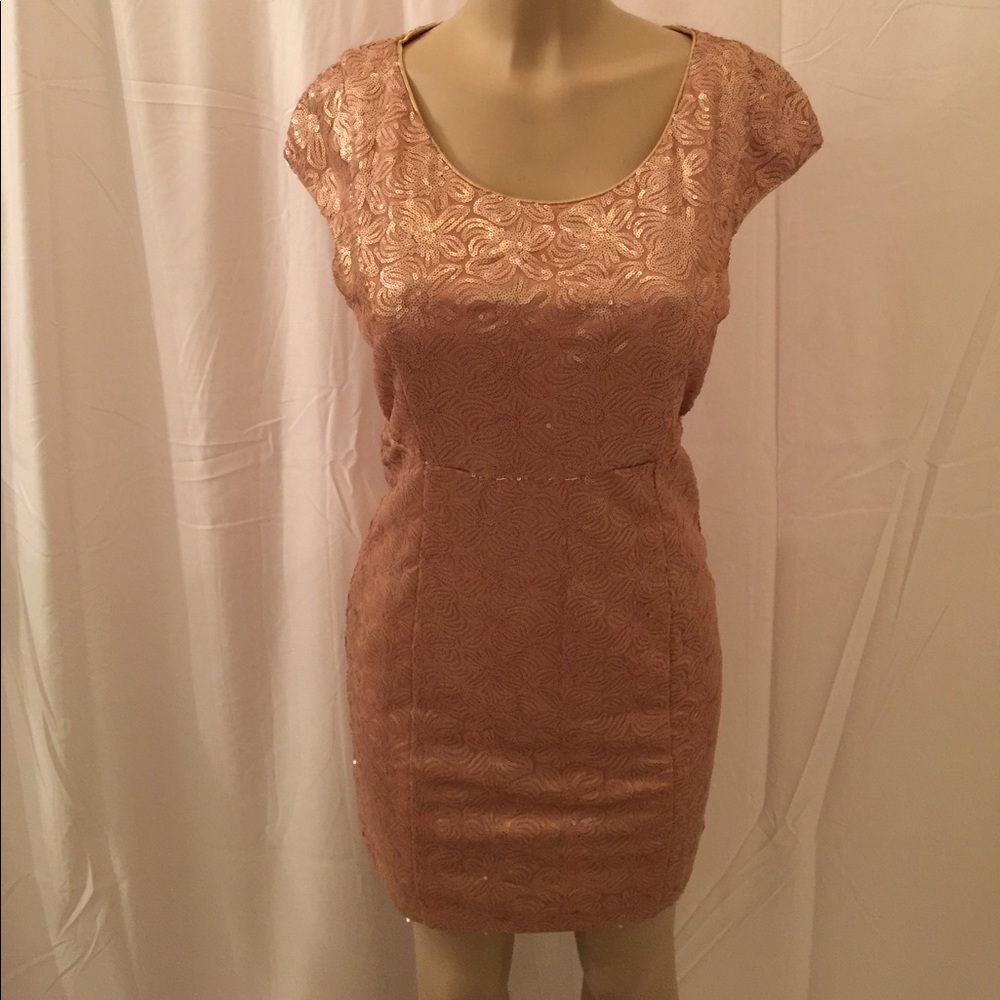 Beautiful Sequined Dress - image 1